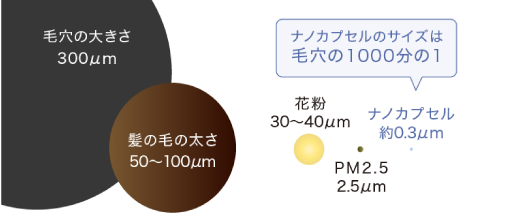 毛穴・髪の毛・花粉・PM2.5・ナノカプセルのサイズ比較