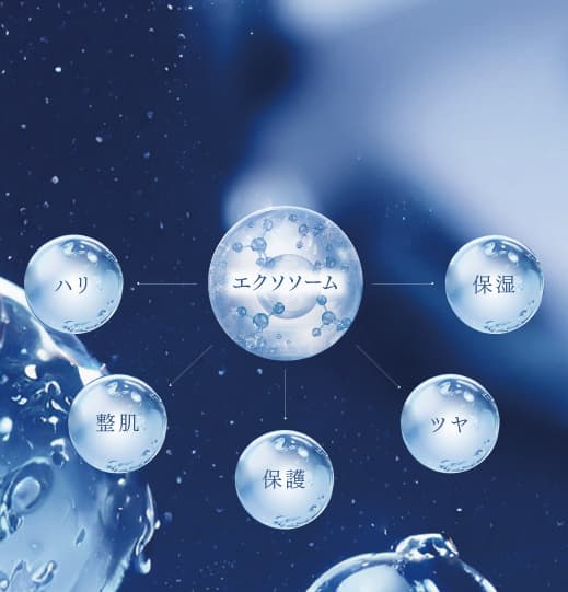 エクソソームが肌細胞にうるおい・ハリ・弾力・ツヤ・キメ・透明感を届けるイメージ。