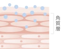 角質層に水分が浸透していくイメージ図。化粧水（ステップナビゲーション）の働きを表す。