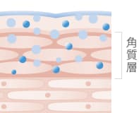 美容液が角質層全体に行き渡る様子のイメージ図。ワイドディフューズのステップを説明。