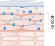 クリームで肌を包み込むイメージ図。モイストプロテクトのステップを表現。