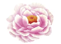 ボタンのイメージ
